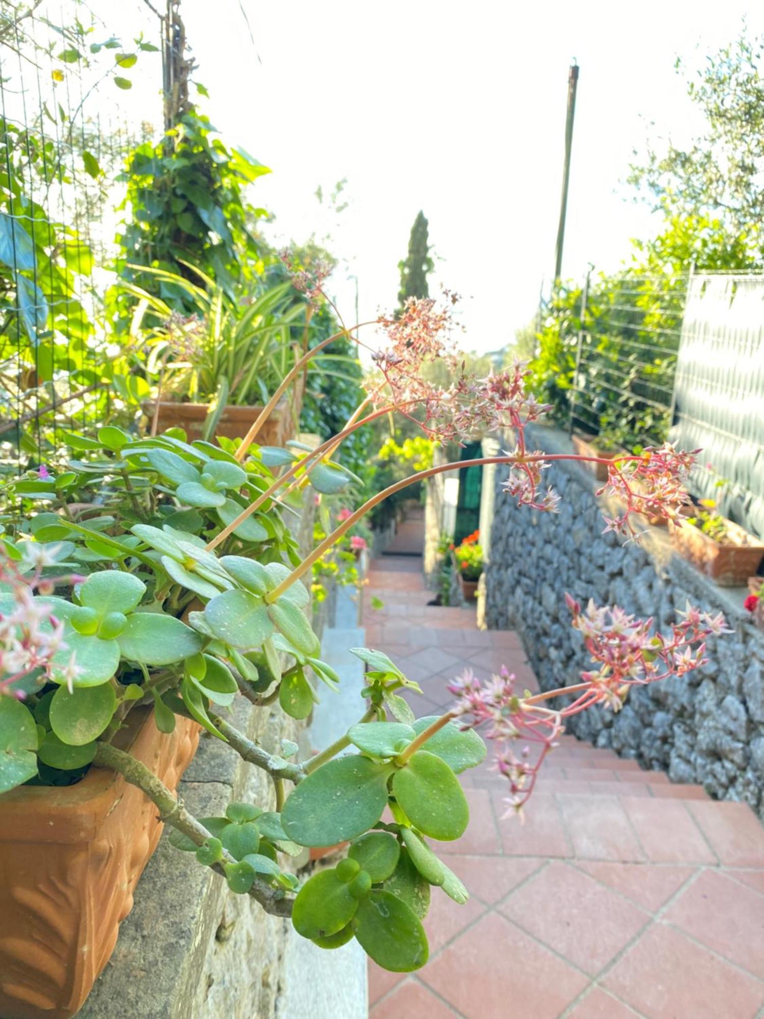 B&B La Ciammurrella Anacapri  Exterior photo